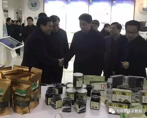 察布瑞克支持“互联网+农业”CQ9电子河南副省长王铁视(图5) 察布瑞克支持“互联网+农业”CQ9电子河南副省长王铁视(图5)